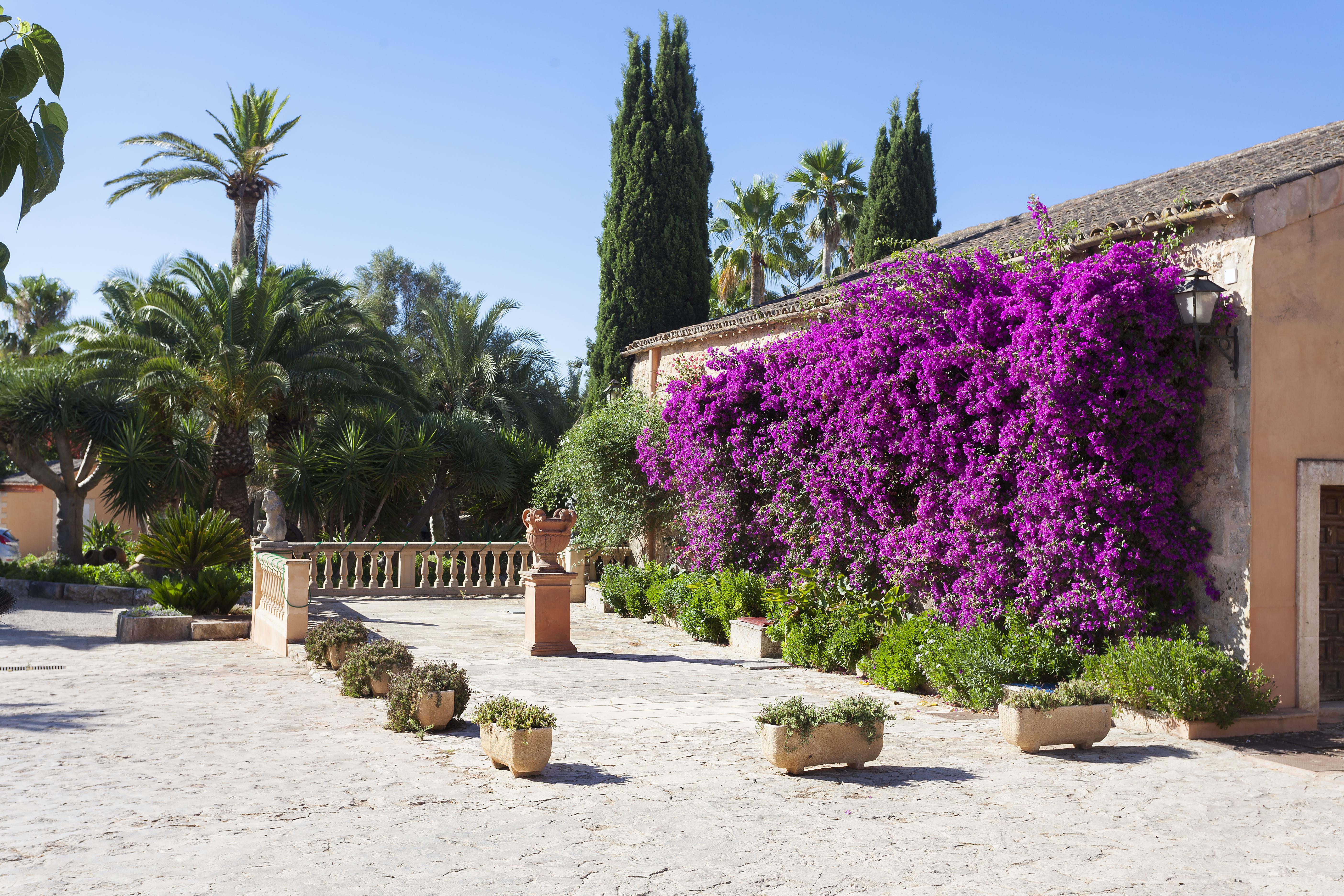 Es Revellar Art Resort - Adults Only Campos  Exterior foto